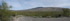 saguaro-panorama-2