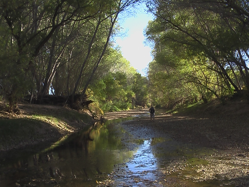 the river