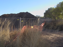 dirt and fence